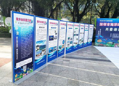 石城KT板的种类和知识。